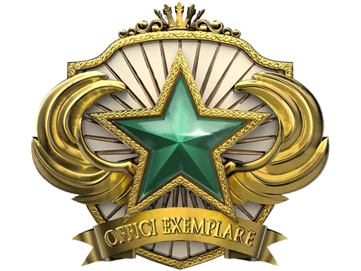 2018 Service Medal
