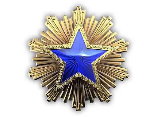 2016 Service Medal