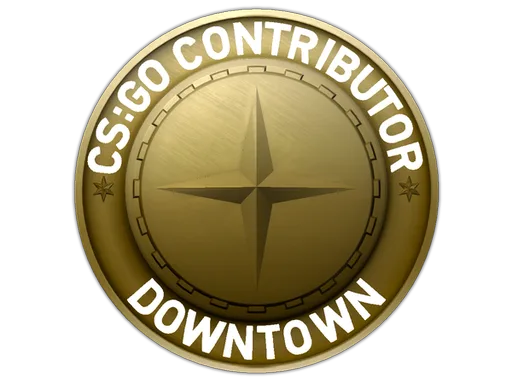 Downtown Map Coin