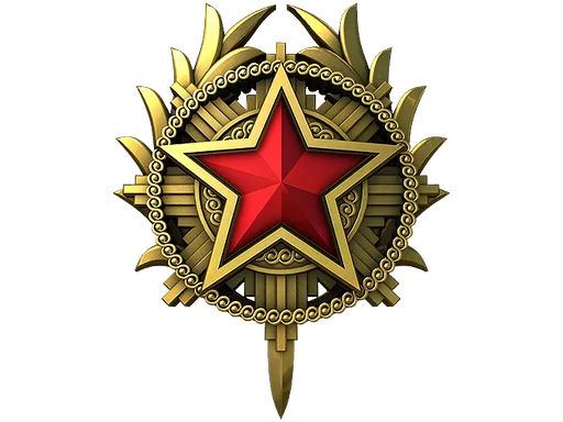 2020 Service Medal
