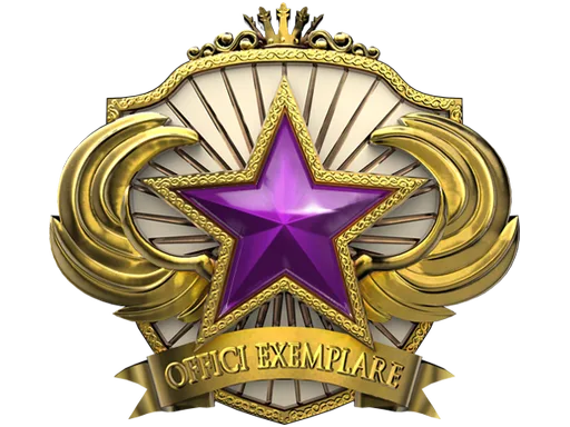 2018 Service Medal