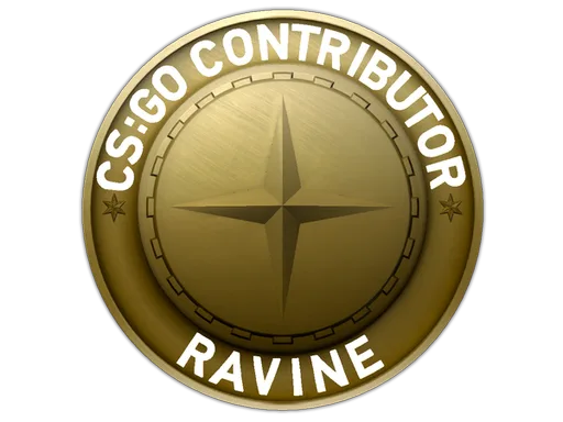 Ravine Map Coin