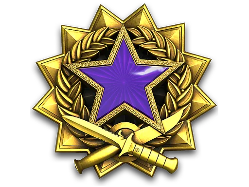 2017 Service Medal