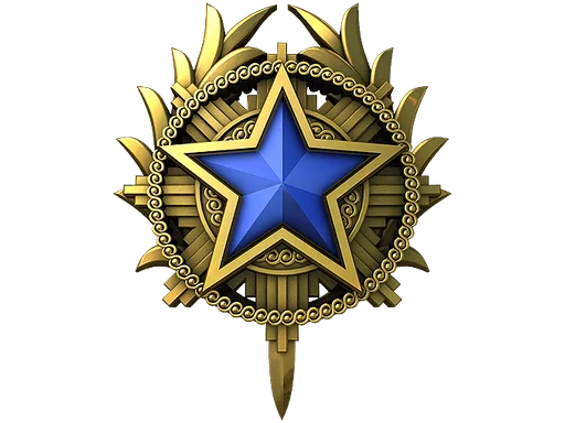 2020 Service Medal