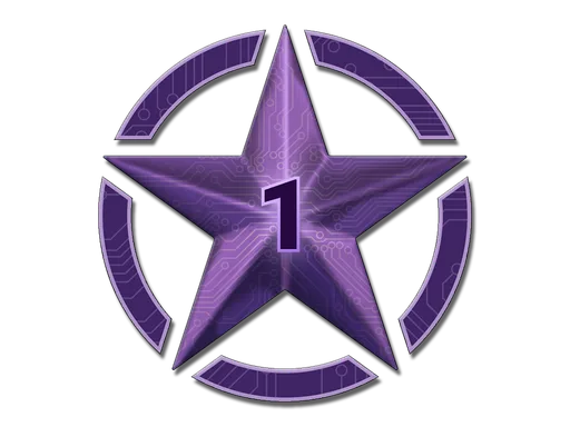 1 Star for Operation Shattered Web