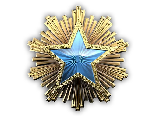 2016 Service Medal