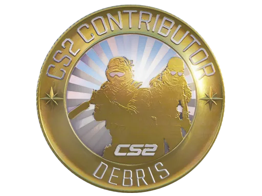 Debris Map Coin