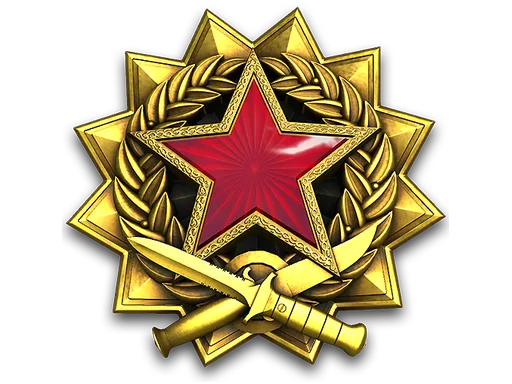 2017 Service Medal