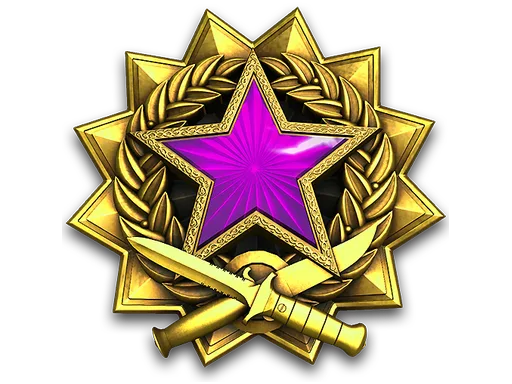 2017 Service Medal