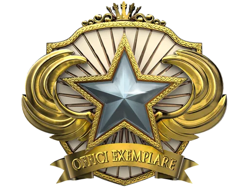 2018 Service Medal