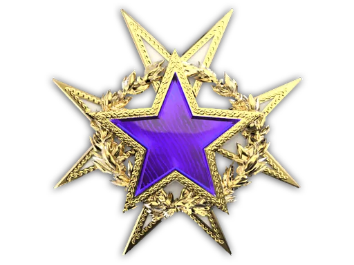 2015 Service Medal