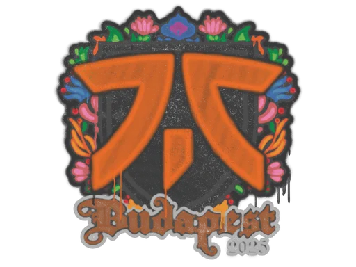 Sealed Graffiti | fnatic | Budapest 2025